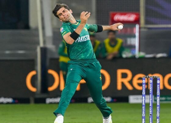 Shaheen Shah Afridi