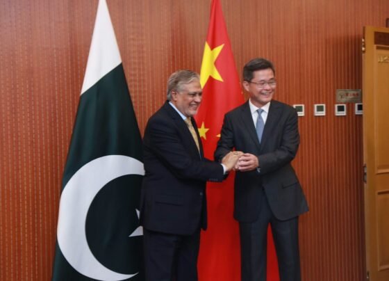 DPM Dar meets Chinese finance minister; highlights Pakistan’s reform agenda