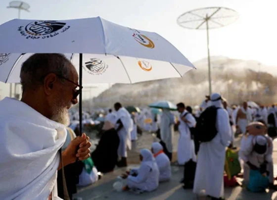 Heat kills over 500 pilgrims during Hajj