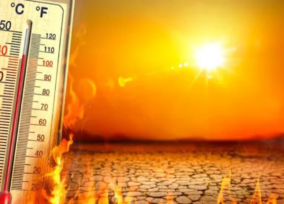 Did 568 people die due to the heatwave in Karachi?