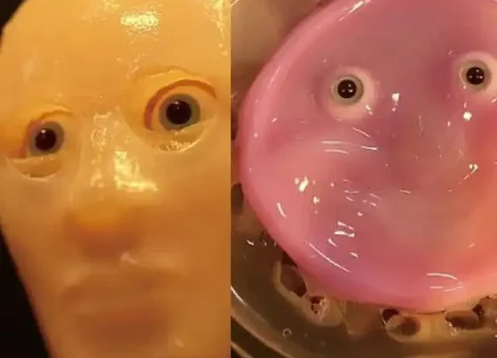 Scientists create robot faces using real human skin capable of self-repair