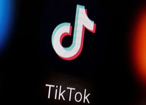 TikTok deletes how many Pakistani videos