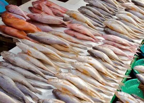 Pakistan exports seafood worth $116 million in four months