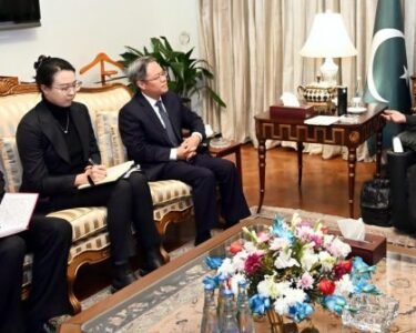 President, Chinese ambassador discuss ways to enhance cooperation