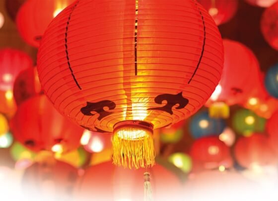 农历新年庆祝活动将于1月29日开始