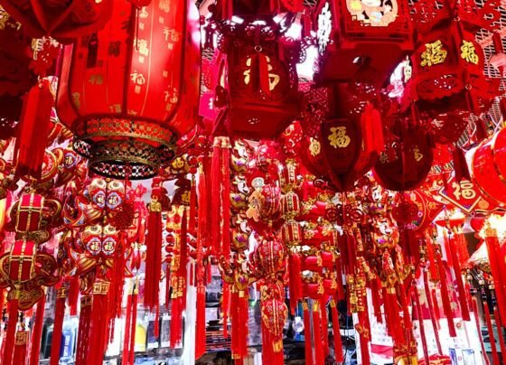 Pakistani merchants explore Chinese Spring Festival vitality