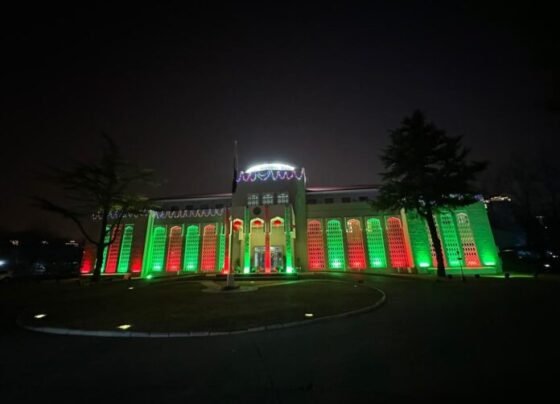 巴基斯坦大使馆，北京农历新年、春节装饰