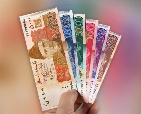 新版纸币更新：造纸机升级项目授予德国公司