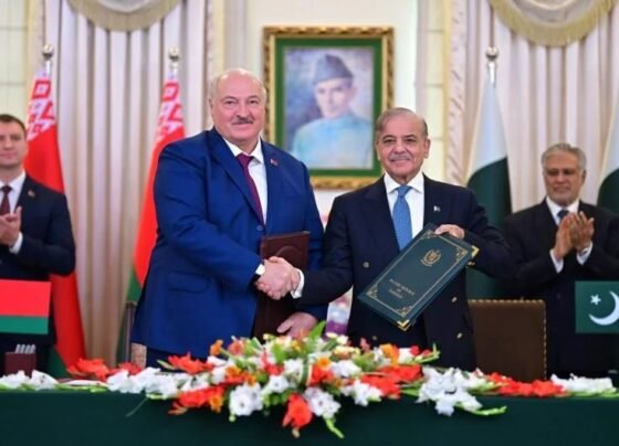 总理将访问白俄罗斯