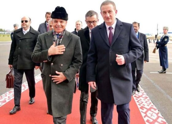 白俄罗斯总统设宴欢迎巴基斯坦领导人