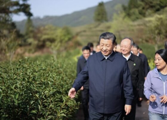 Xi Jinping’s tea bond with Fujian