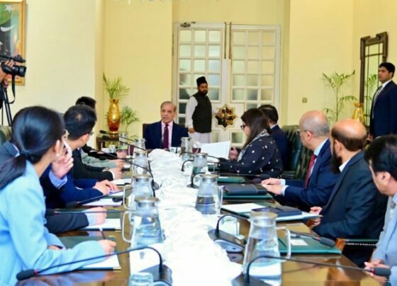 Pakistan keen to strengthen space cooperation with China: PM